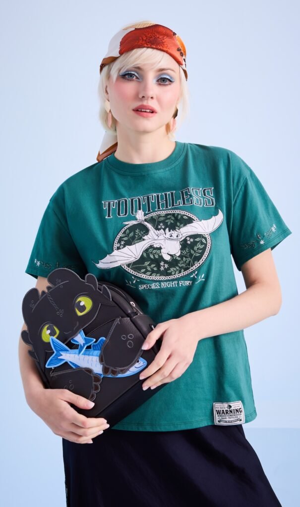 BoxLunch How to Train Your Dragon